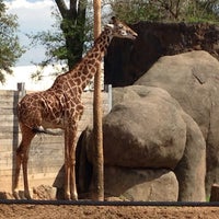 Photo taken at Giraffe African Exhibit by Shelley K. on 3/15/2015