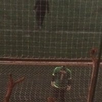 karagumruk hali saha dervis ali 1 tip