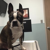 Photo prise au West Ashley Veterinary Clinic par Elle S. le10/24/2015