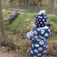 The Chestnut Centre Otter, Owl & Wildlife Park (Now Closed) - Farm
