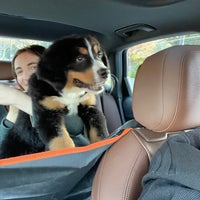 VCA Madera Pet Hospital Veterinarian in Corte Madera