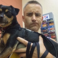 vca winchester animal hospital