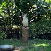 Photo taken at Philippine Eagle Center by Kerwan M. on 4/20/2019