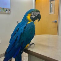 Photo taken at Roadrunner Animal Hospital &amp;amp; Grooming by ᴡ M. on 12/17/2017