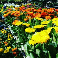 Das Foto wurde bei Watters Garden Center von Ken L. am 3/18/2016 aufgenommen