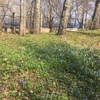 Photo taken at Ботанический сад ТвГУ by Алиса В. on 4/21/2019