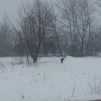 Berrak Ceviz Yatak Odasi Takimi Tasarim Odullu Mobilya Berrak Mobilya
