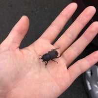 セブンイレブン 甲斐大泉西井出店 北杜市 山梨県