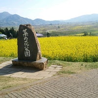 飯山市菜の花公園 飯山市 3 Tips From 279 Visitors