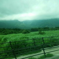 仙石原湿原植物群落 箱根 箱根町 神奈川県 仙石原湿原植物群落 箱根 箱根町 神奈川県