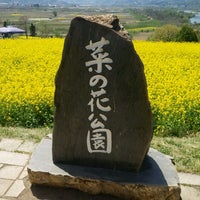 飯山市菜の花公園 飯山市 3 Tips From 281 Visitors