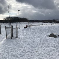 Photo taken at Viikinojanpuiston koira-aitaus by Katerina♋ on 2/24/2017