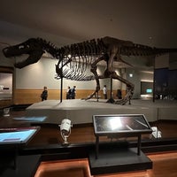 Photo taken at Sue The T. Rex by Esben Theis J. on 10/16/2022
