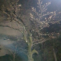 Photo taken at Zenpukuji Park by なお on 3/30/2024
