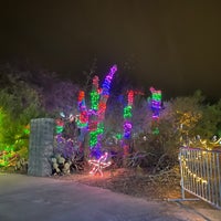 Das Foto wurde bei Phoenix Zoo von Mary Ellen R. am 12/5/2023 aufgenommen