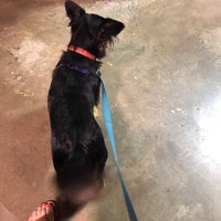Photo taken at Zoom Room Dog Training by Alexis G. on 7/27/2018