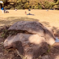 Photos At 明治神宮亀石 明治神宮 0 Tips