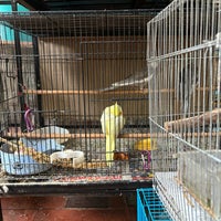 Photo taken at Goodwill Birds Trading by Huiyi on 12/28/2023