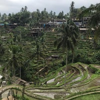 Photo taken at Tegallalang Rice Terraces by Nur A. on 7/4/2019