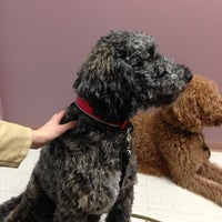 Pet Care Center At Luna Park Veterinarian In Seattle