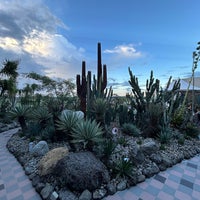 Photo taken at Cactus Garden by Erin . on 12/9/2023