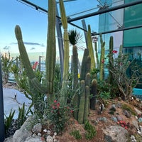 Photo taken at Cactus Garden by Erin . on 12/9/2023