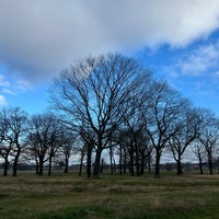 Photo taken at Wanstead Flats by Greg O. on 1/14/2024