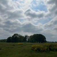 Photo taken at Wanstead Flats by Greg O. on 5/18/2024