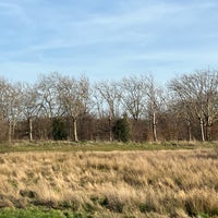 Photo taken at Wanstead Flats by Greg O. on 1/28/2024