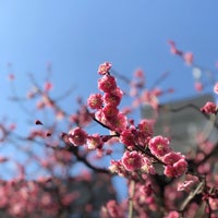 神谷町オープンテラス Templo Budista Em 麻布台 神谷町オープンテラス Templo Budista Em 麻布台