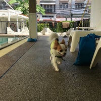 Photo taken at THE DOG HOTEL by Sitthiphong B. on 9/1/2018
