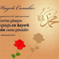 yasin kaplan hali festival hali factory