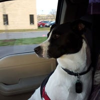 Lucky Dog Pet Lodge - East Bloomington - Bloomington, MN