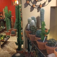 Photo taken at Les Succulents Cactus by CM on 1/17/2017