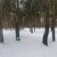 Photo taken at Чоботовский лес by Наталья on 1/4/2022