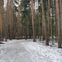 Photo taken at Чоботовский лес by Наталья on 2/24/2020