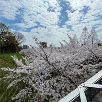 Photo taken at Tsurumiryokuchi Expo &amp;#39;90 Commemorative Park by norippe on 4/7/2024