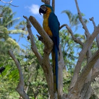 Photo taken at Bali Bird Park by H ع on 8/17/2019