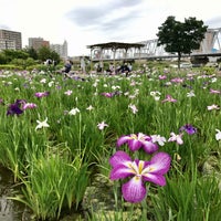 Photo taken at 小岩菖蒲園 by mikko on 6/5/2021