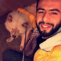 Avcioglu Masa Sandalye