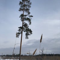 Photo taken at Тольяттинский лес by anna b. on 3/10/2019