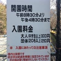 Photos At 節分草群生地
