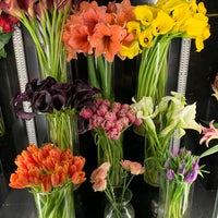 Photo prise au Starbright Floral Design par Sara S. le12/4/2019