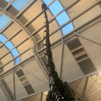 Photo taken at Brachiosaurus Altithorax by Ross K. on 3/13/2023