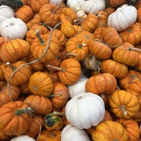 Photo taken at The Maize at the Pumpkin Patch by Robert T. on 10/22/2022