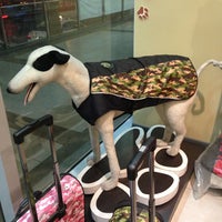 Pet Express Socorro Quezon City Quezon City