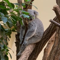 Photo taken at Koala-Gehege by Martin O. on 6/1/2019
