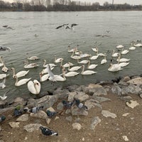 Photo taken at Donaupromenade by Martin O. on 3/2/2019