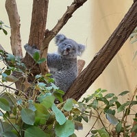 Photo taken at Koala-Gehege by Martin O. on 7/29/2021