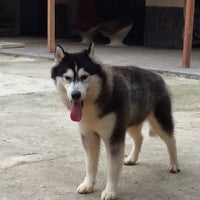Photo taken at Rumah Woof Woof by Rumah W. on 5/20/2014
